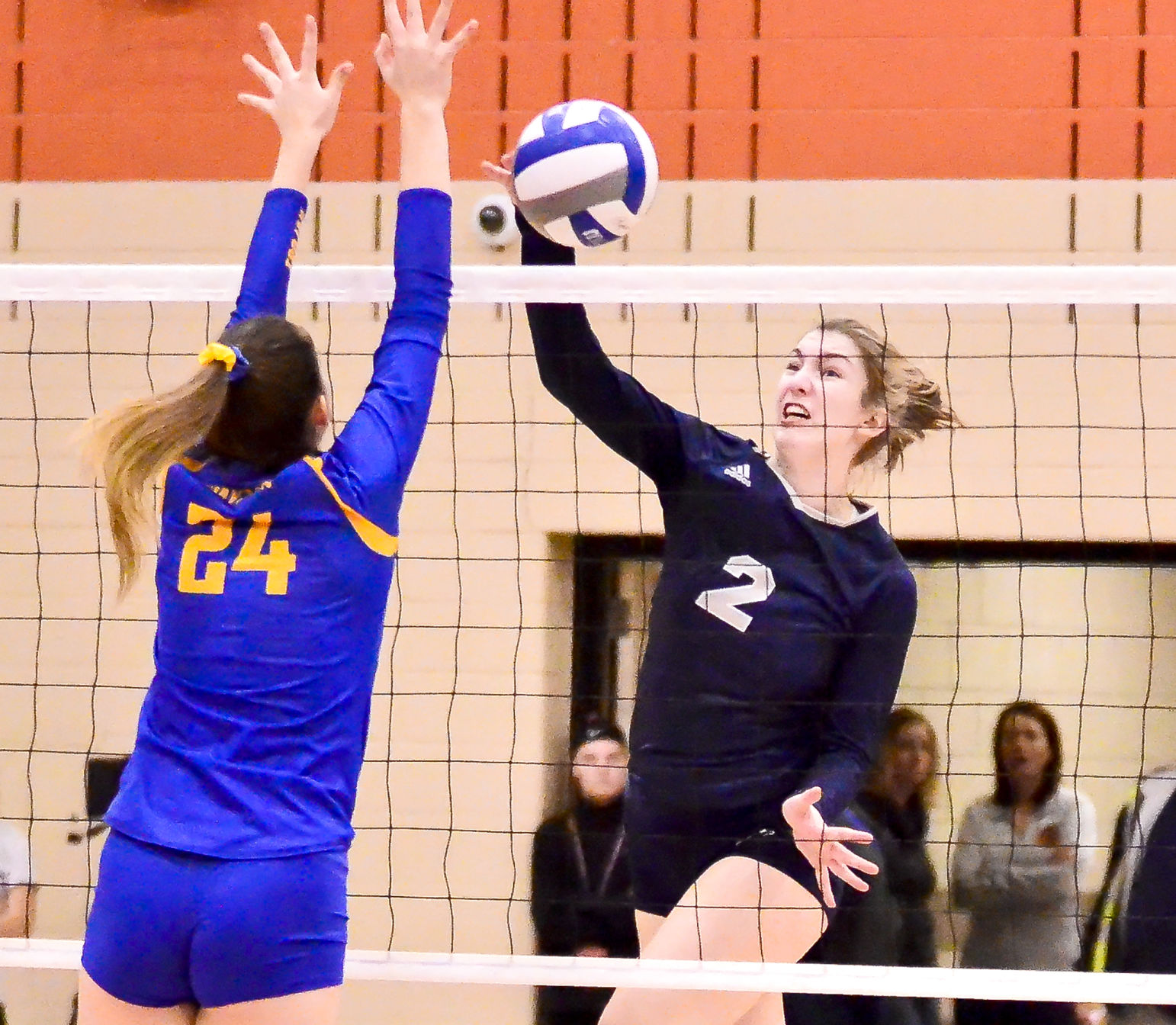 Izzy Taylor Volleyball Izzy Taylor Volleyball
